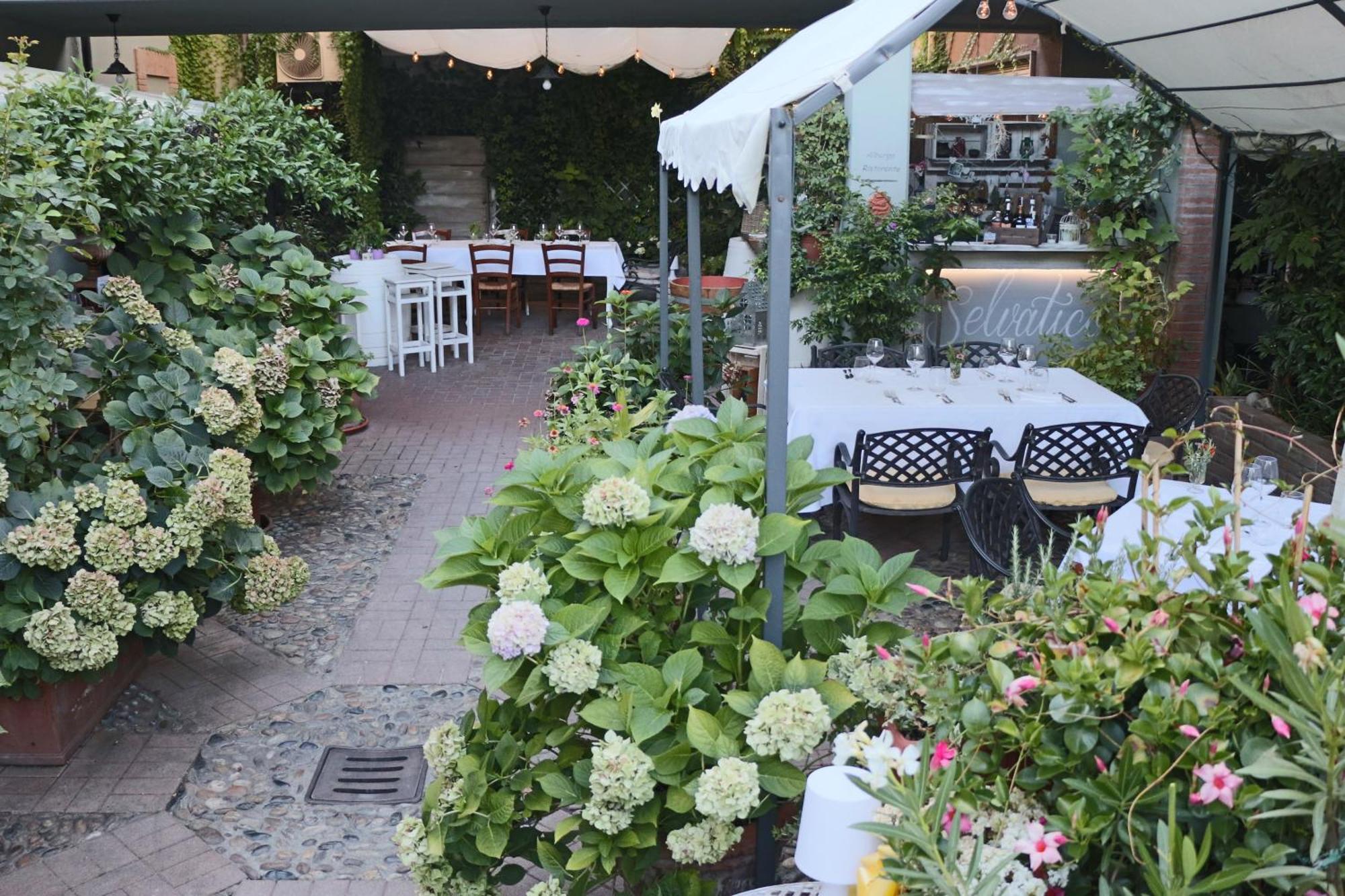 Albergo & Ristorante Selvatico Rivanazzano Terme Extérieur photo